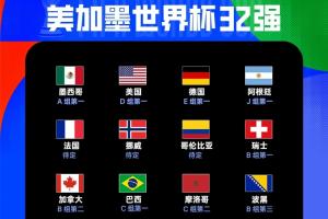 世界杯已出线12队：巴西、摩洛哥晋级，波黑小组第三名出线